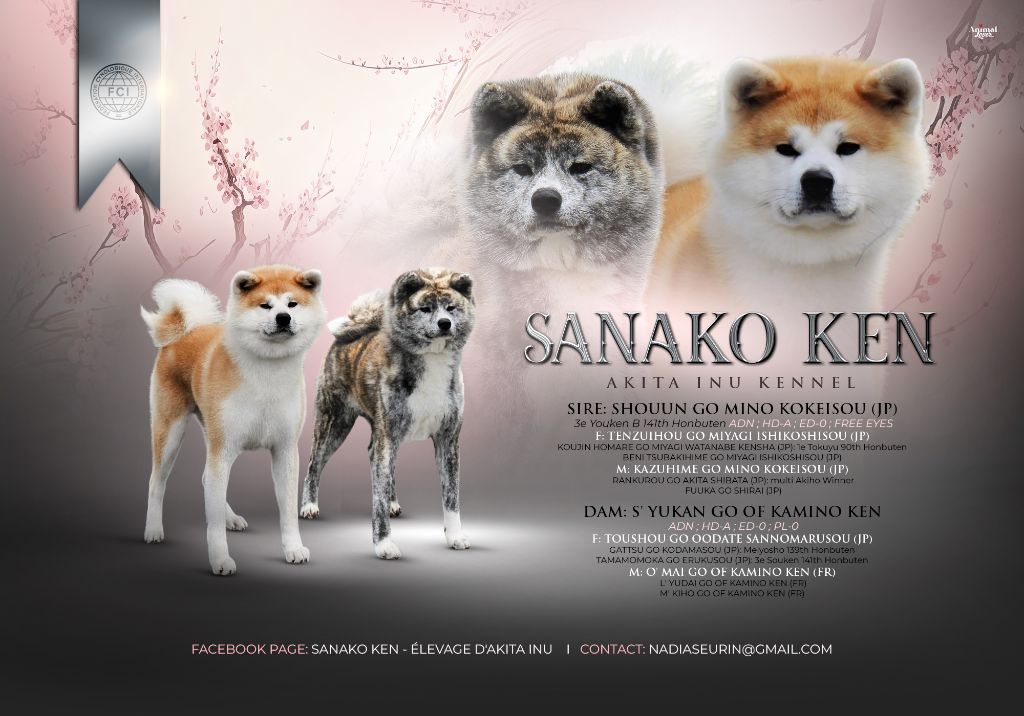 Sanako Ken - NAISSANCE VERS LE 30 SEPTEMBRE 2023 !!!