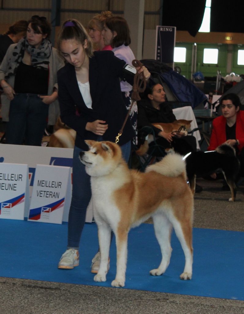 Sanako Ken - CHAMPIONNAT DE FRANCE MONTLUCON 2/06/2024