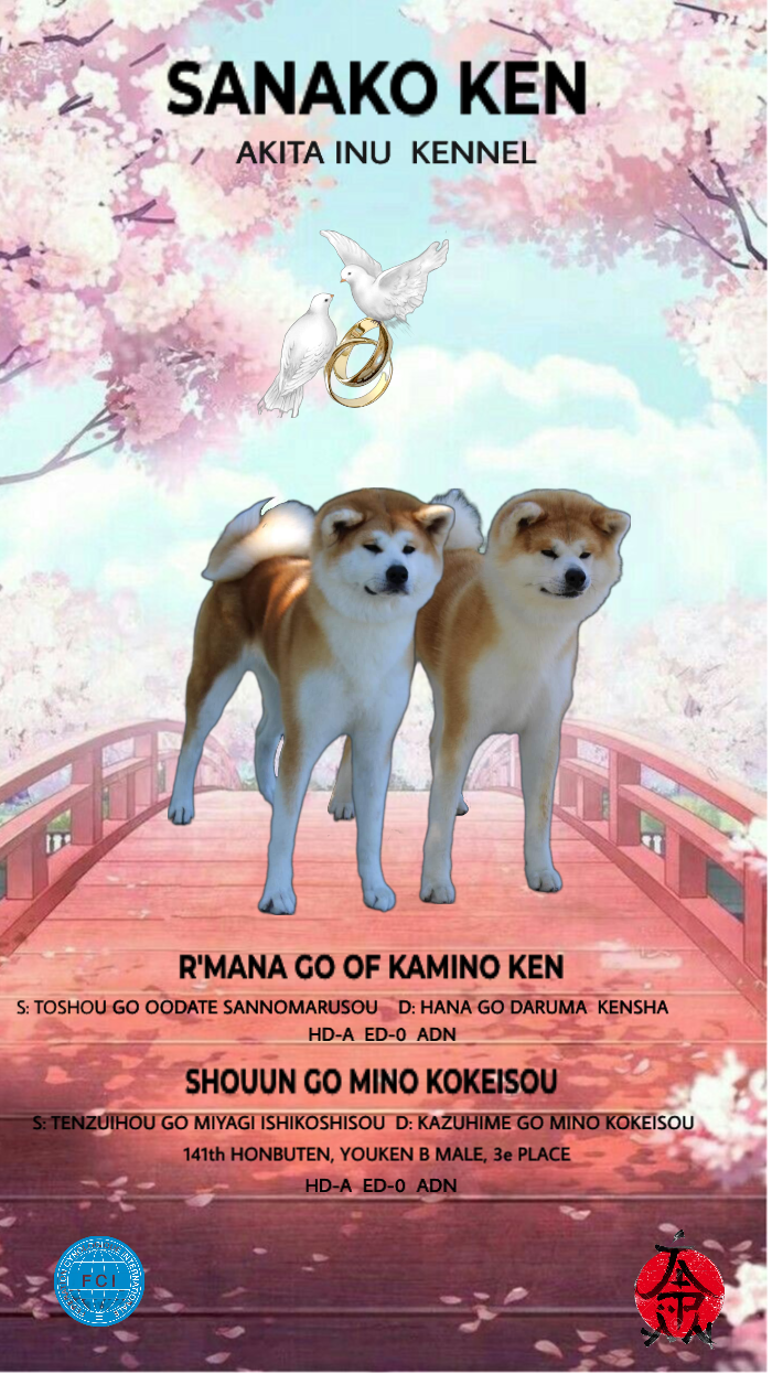 CHIOTS DE MANA et SHOUUN : 20-09-2022